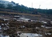 Bangun Tower Panjat Tebing, Dispora Kaltim Sebut Gunakan Standar Dunia