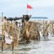 Dari Penjajahan Bambu Runcing ke Penjajahan Bambu Modern