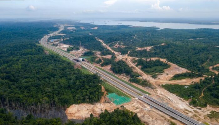 Hutan Hilang, Akankah Koridor Satwa Tol IKN Efektif?