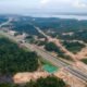 Hutan Hilang, Akankah Koridor Satwa Tol IKN Efektif?