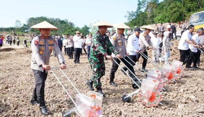 Dukung Program Asta Cita Presiden RI, Polda Kaltim Gelar Penanaman Jagung Kuartal III secara Serentak