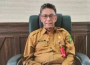 Dinas Koperasi Rekomendasikan Petani Nanas Promosi Produk Olahan di Platform TikTok