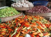 Tekanan Harga Cabai Luar Daerah Ganggu Struktur Perdagangan, Disperindag Kutim Sinkronisasi Pasokan