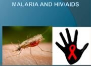 Kutai Timur Perkuat Upaya Eliminasi Malaria dan HIV Sesuai Target Nasional