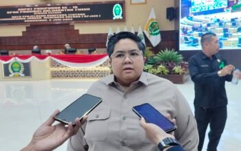 Wakil Ketua DPRD Kaltim, Ananda Emira Moeis